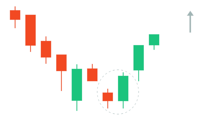 la longue ombre basse