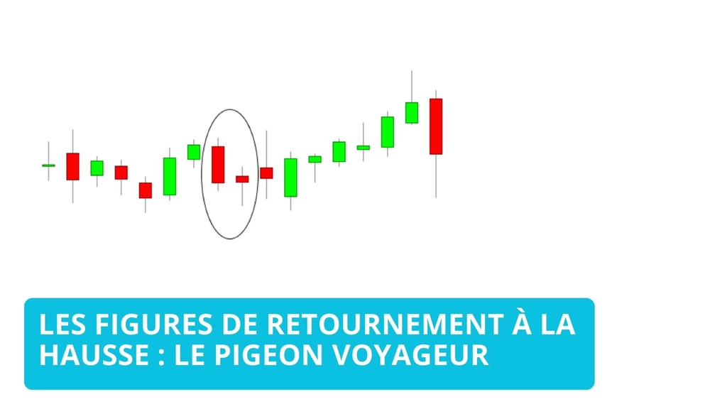Pigeon Voyageur : Comprendre les Chandeliers Japonais pour le Trading